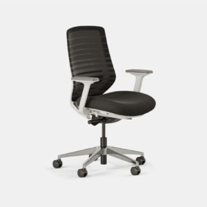 Ergonomic Chair – Black / White / Standard