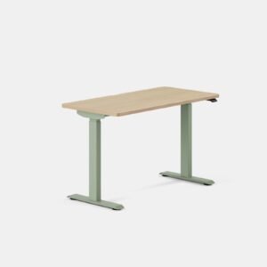 Duo Standing Desk – Woodgrain / Sage / 48 inches x 24 inches