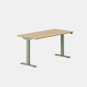Duo Standing Desk – Woodgrain / Sage / 58 inches x 27 inches