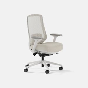 Ergonomic Chair Pro – Shore