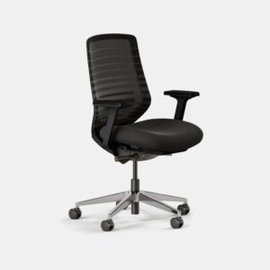 Ergonomic Chair – Black / Black / Standard