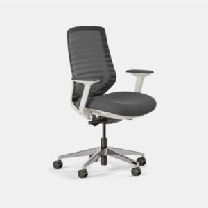 Ergonomic Chair – Graphite / White / Standard